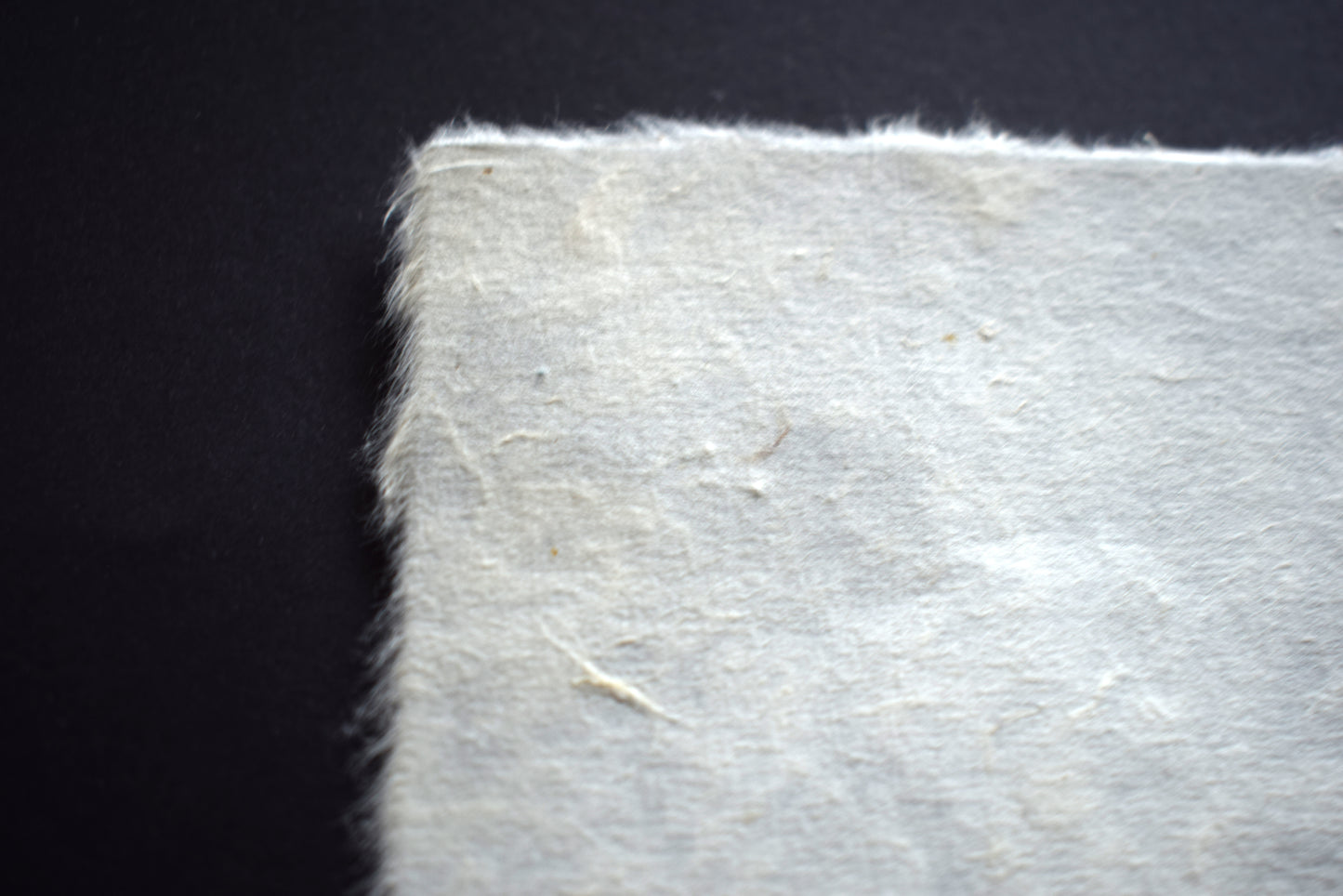 Burnt Orange Fox Screenprint on Mitsumata (b24)