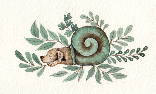 Original Miniature Watercolour - Dog Snail