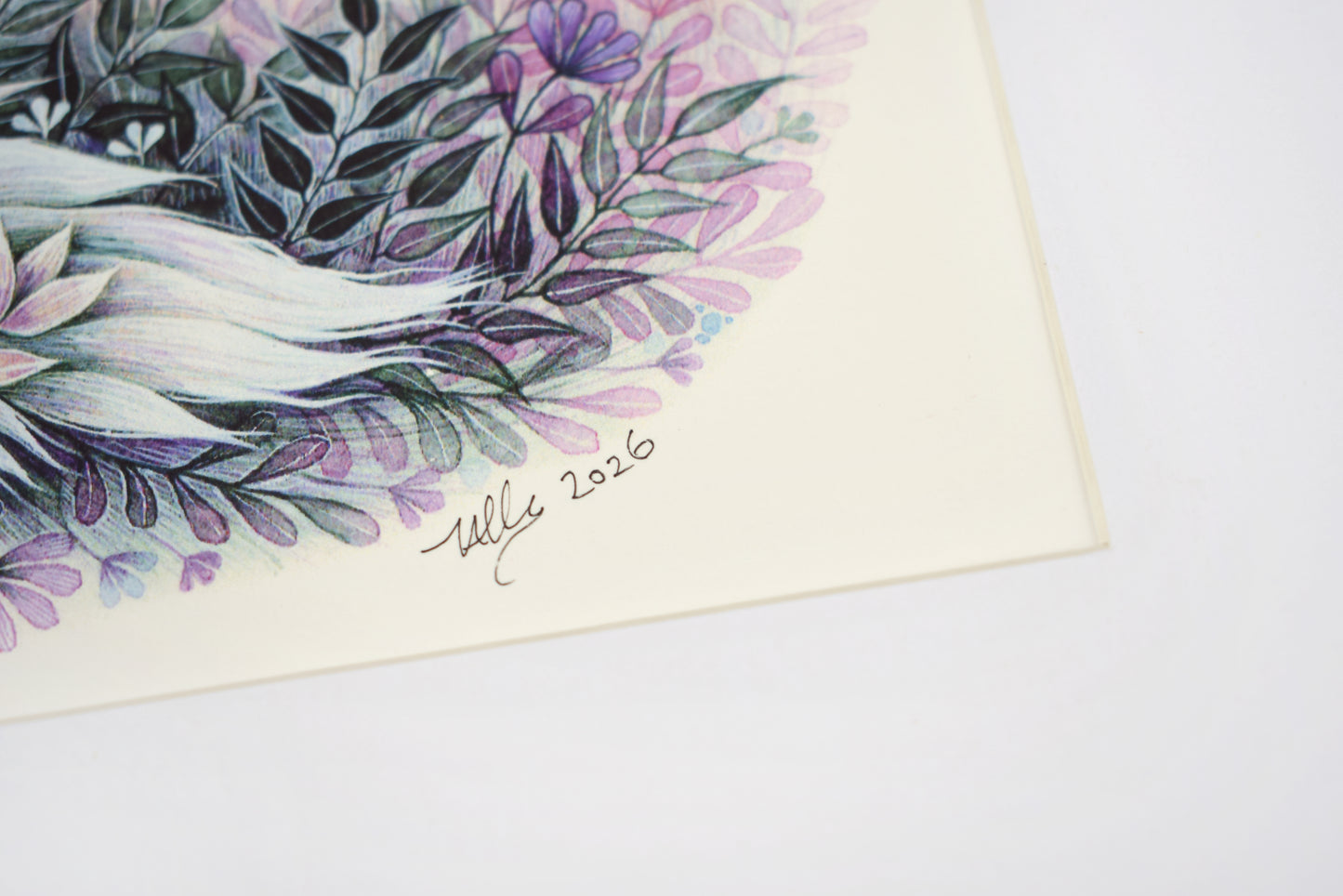 Ghost Fox - Giclee Print, mounted (unframed)