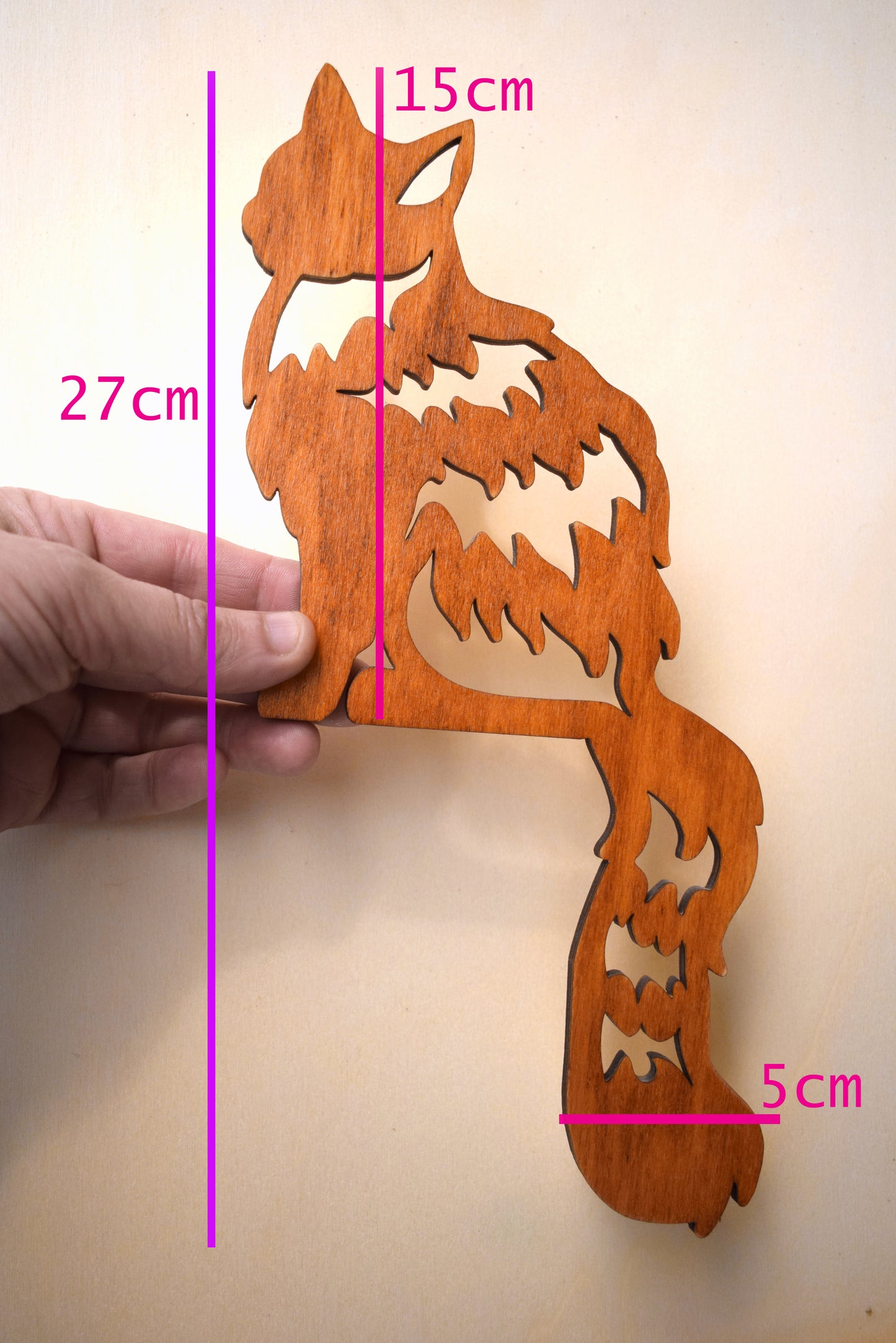 Ginger Cat