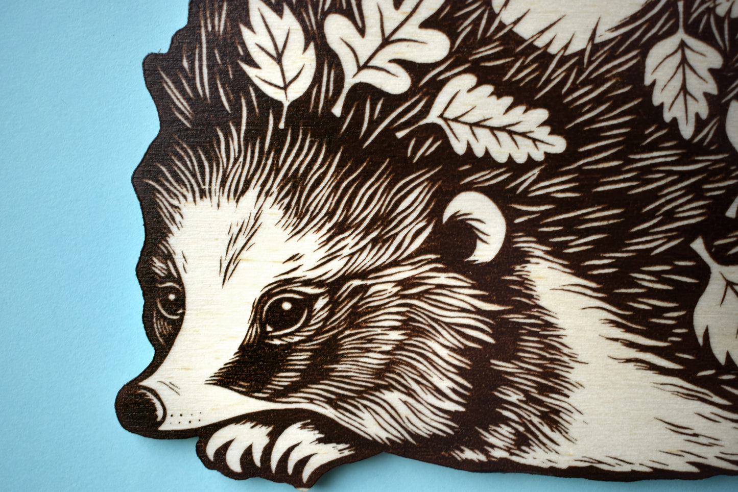 Hedgehog Wall Hanging (b29)