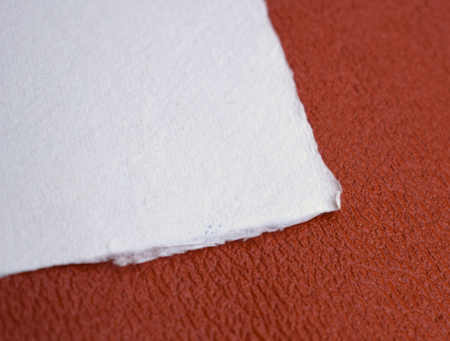 Ultramarine Screenprint on Khadi Cotton Rag (p19)